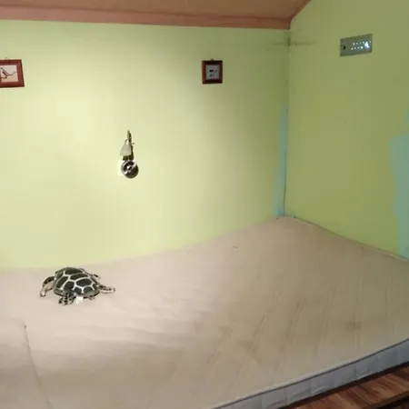 Remo Garten Kemping Neubrandenburg