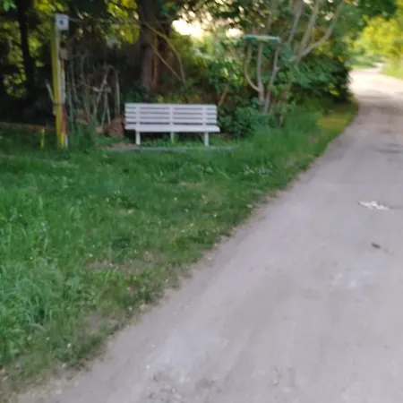 Remo Garten *